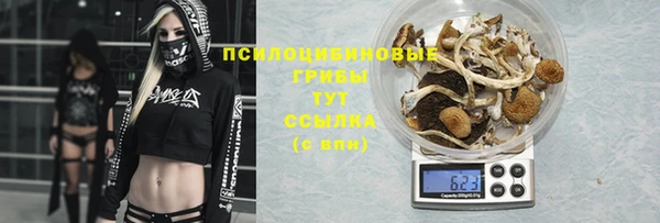 apvp Алексеевка