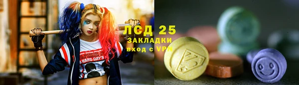 ешки Алексин