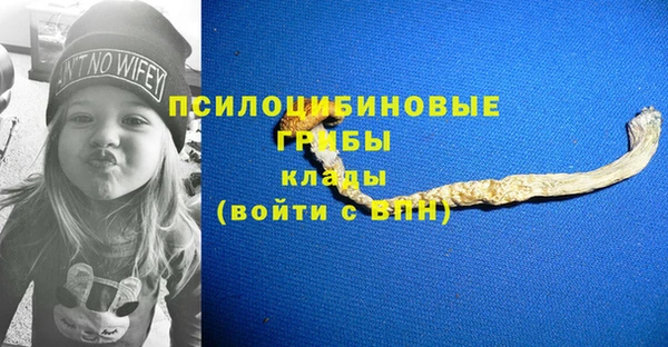 ешки Алексин